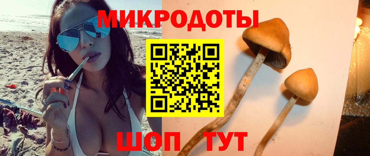 Галлюциногенные грибы Psilocybine cubensis  Вход с VPN  Воткинск 